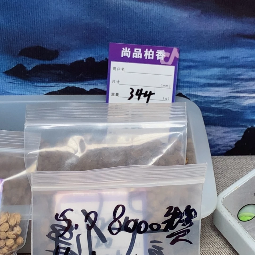 柏香籽/百香籽吊坠贰*