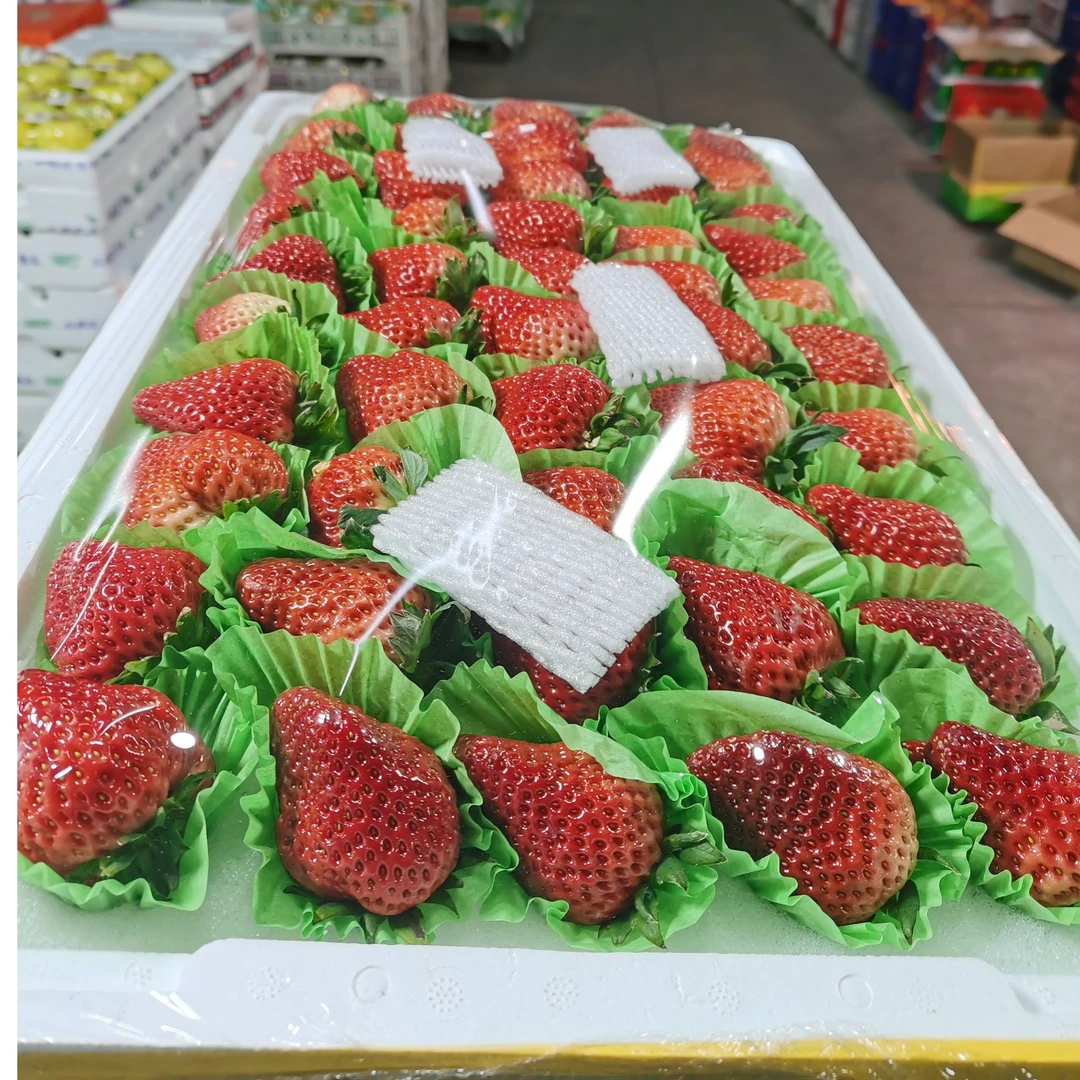 九九5排大果约5.5斤