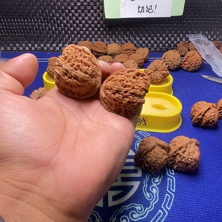 南疆石43尺天使之翼