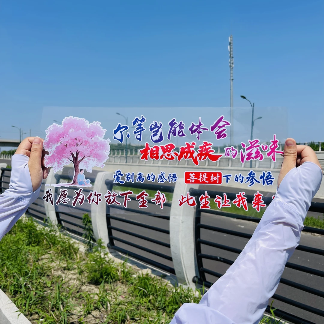 尔等岂能体会相思成疾的滋味汽车贴纸创意文字车门后窗贴画车贴纸