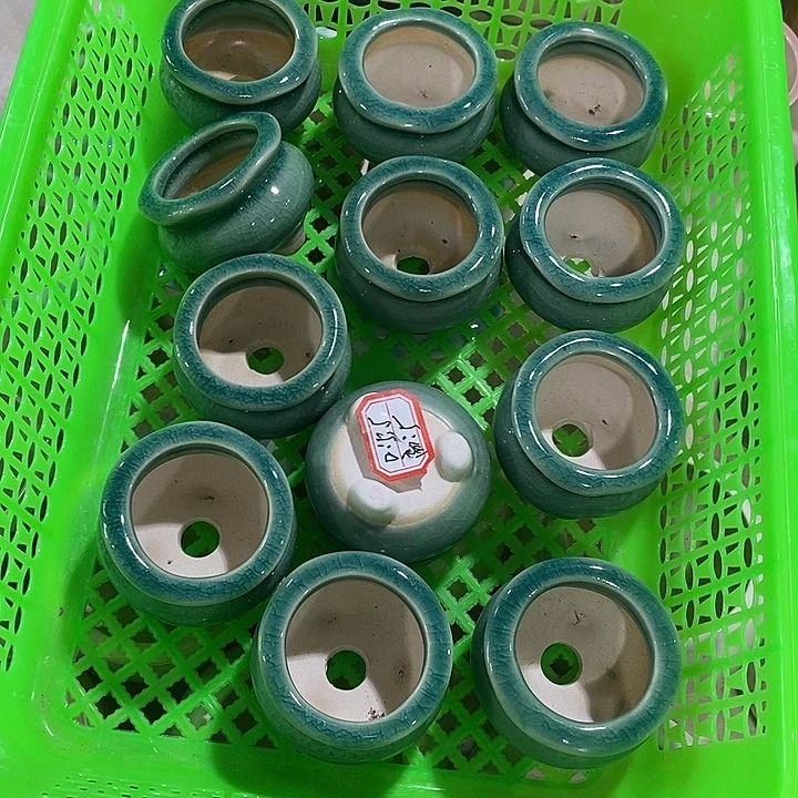 花盆抢购清货马上开始