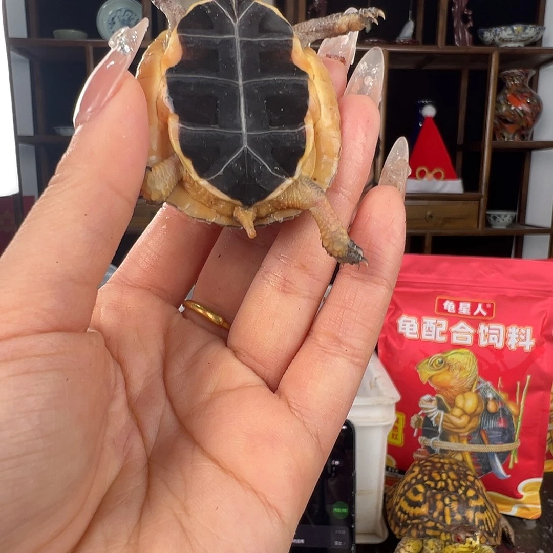 母尚*谦安缘啦啦啦啦啦啦