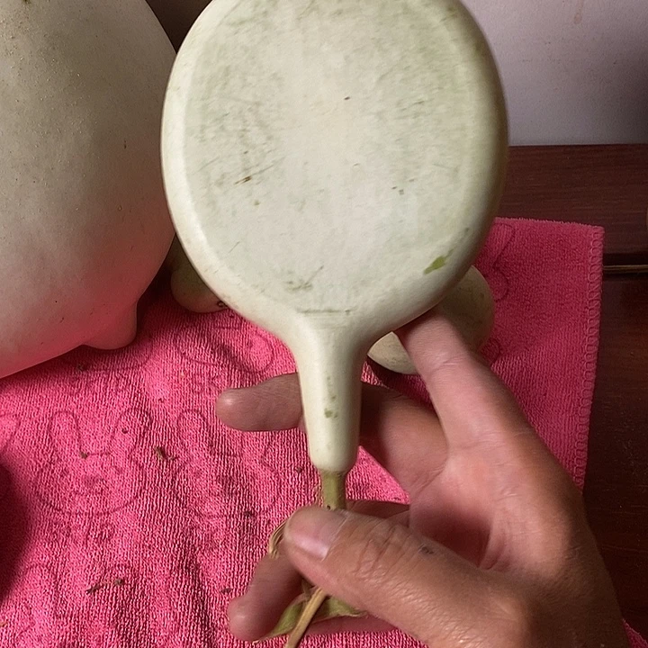 苦***华青皮腰子葫芦手把件