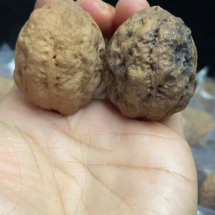 把件文玩核桃云南铁核桃基地95