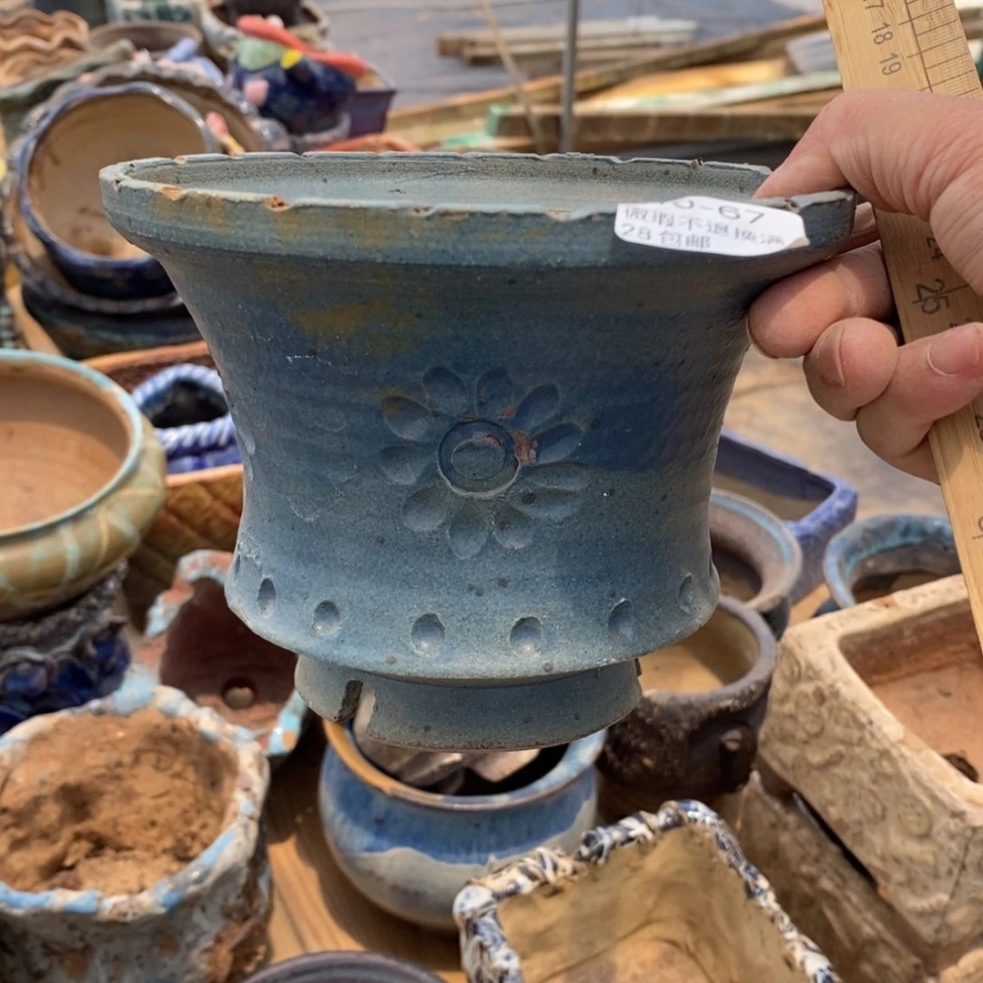 L****翼67号多肉盆一号呀