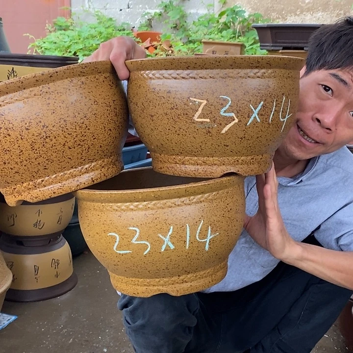 紫砂花盆没有什么不可以的事情