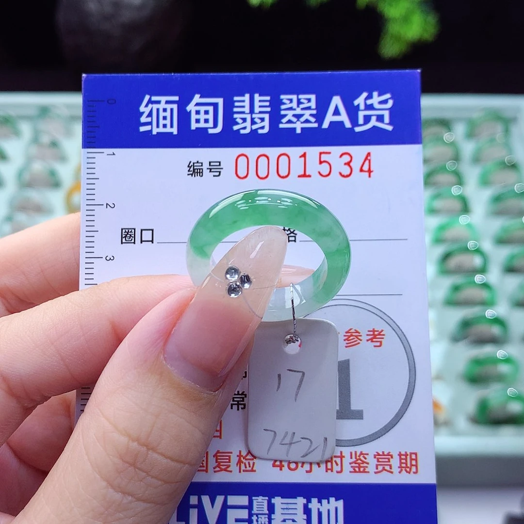 翡翠戒指未镶嵌17号