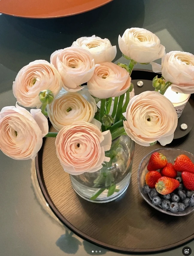 河内洋牡丹一把（5只）＋营养剂