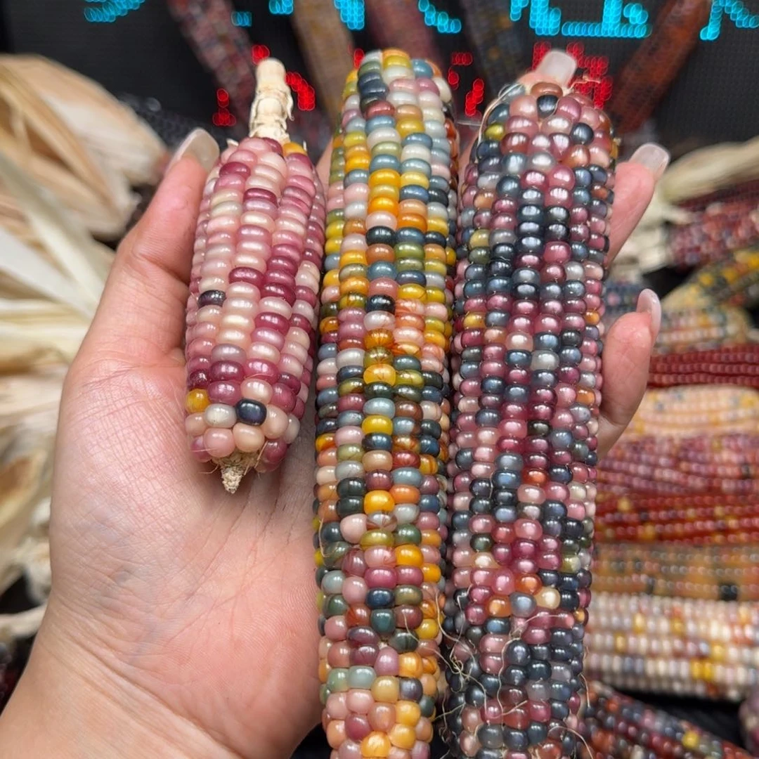 柏香籽/百香籽吊坠^*^