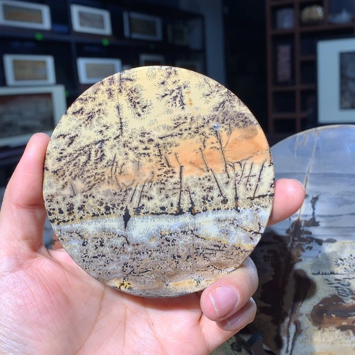 广西国画石摆件，观赏收藏