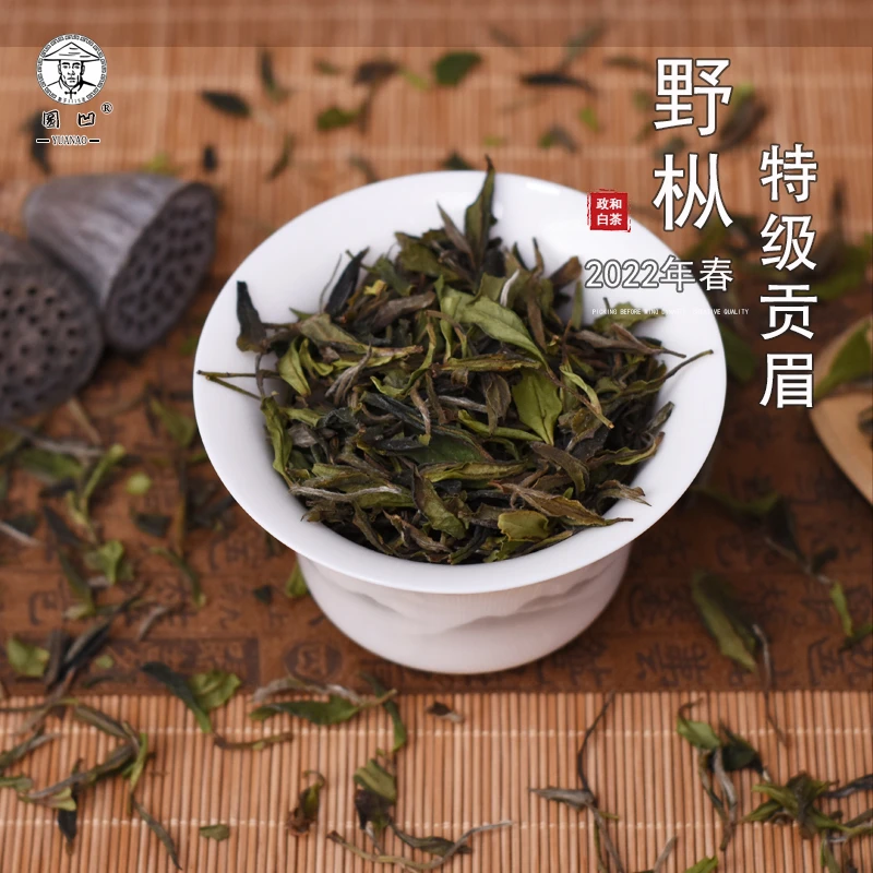 圆凹2022年 荒野头采贡眉  小野白 2泡装品鉴装