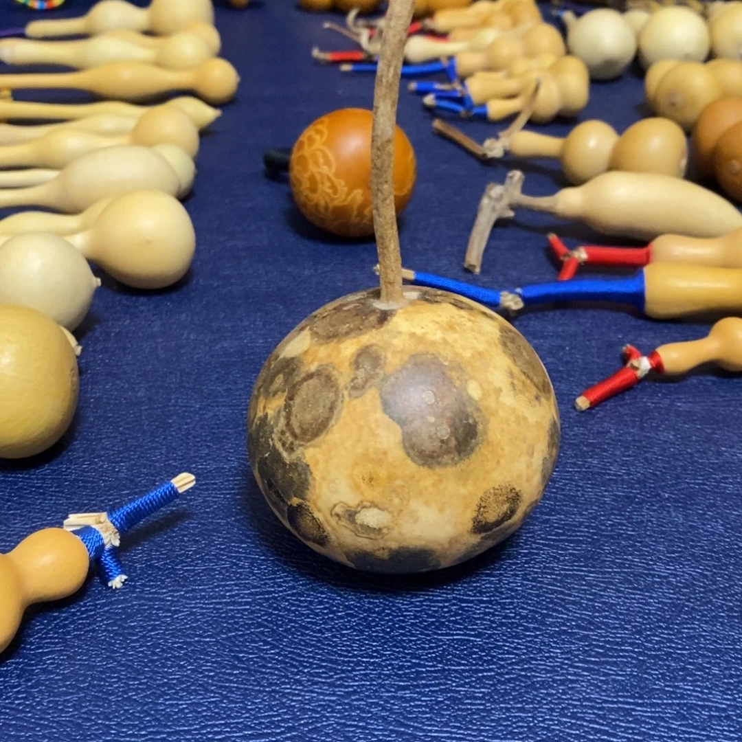 星***息葫芦啊啊啊啊啊啊啊啊啊啊啊啊