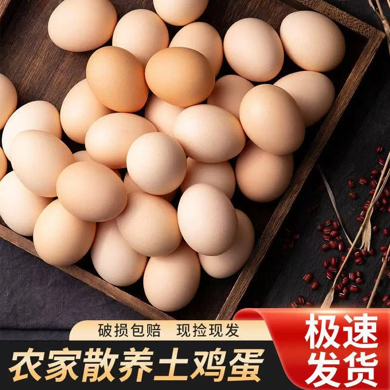 正宗农家散养土鸡蛋新鲜混合装儿童孕妇批发箱50枚zz