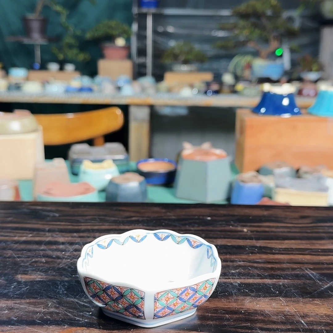 小***迪无花朵进口盆栽盆器