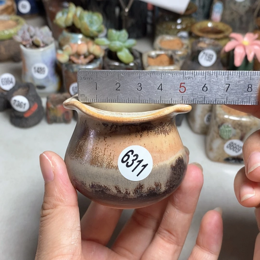 拍5送一个小礼物