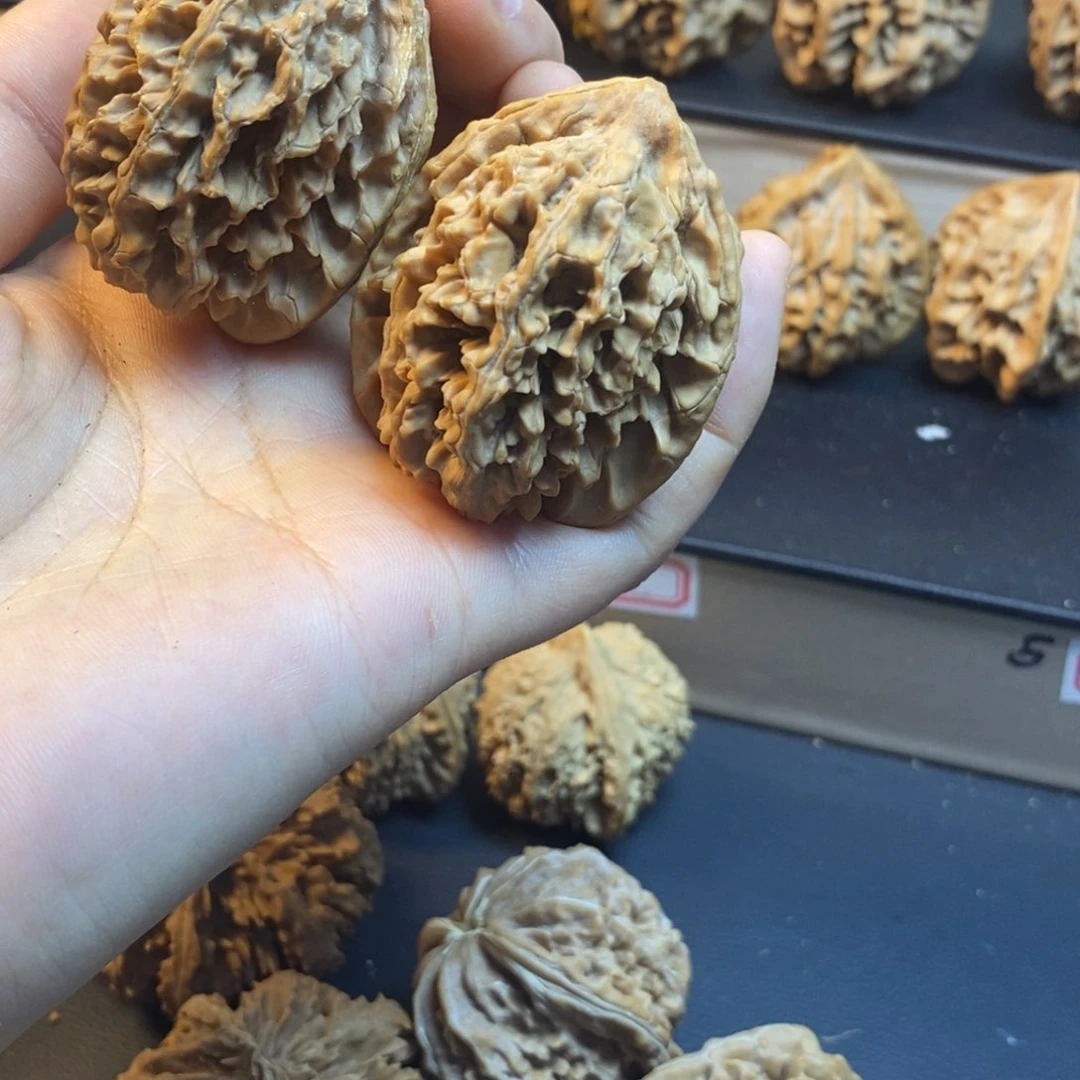 桃核吊坠叼****灰秦岭水龙纹体验对