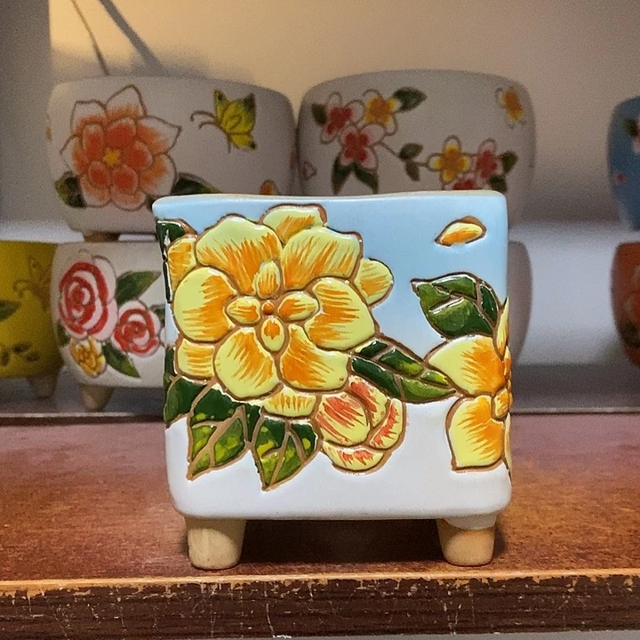 韩式多肉植物花盆