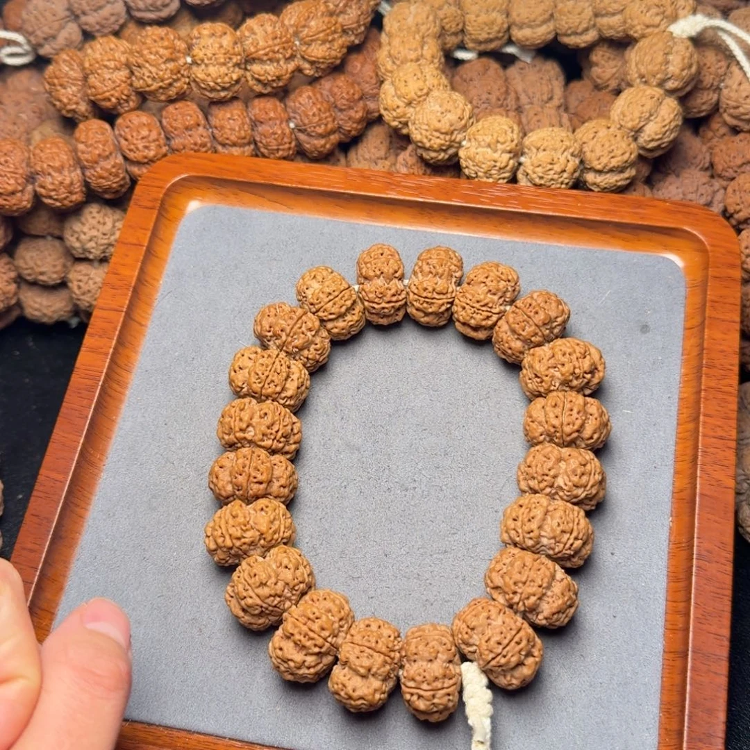 5号尼泊尔大金刚23粗筋梅花夹板手持