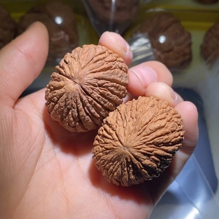 不***子吊坠文玩核桃精品课程等课程