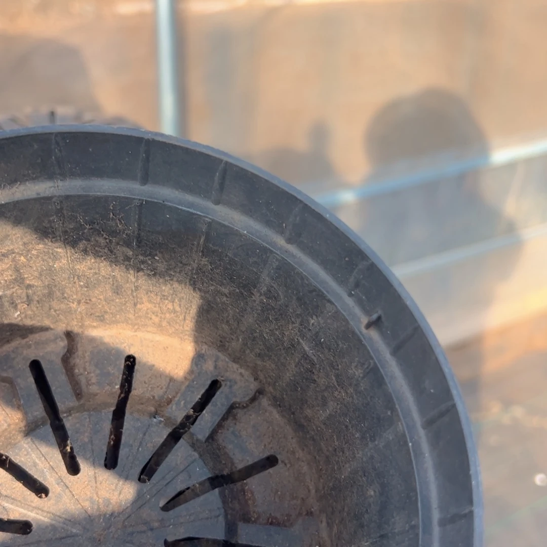 黑色矮胖盆17口径8高 30个