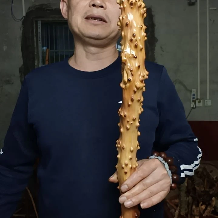 稳定木用****9贵州檬子木   铁马鞭   根艺  半成品