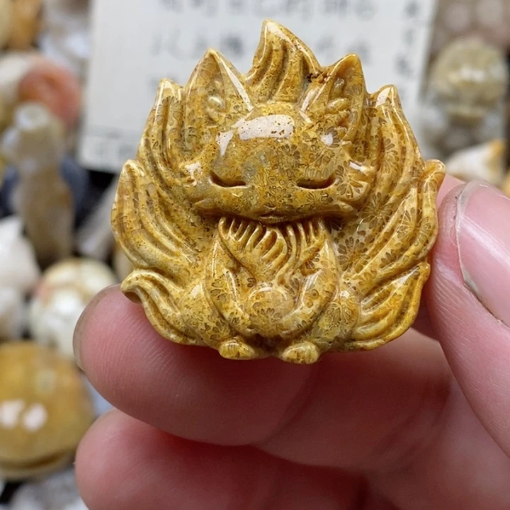 颈饰未镶嵌硅化珊瑚（珊瑚玉）小
