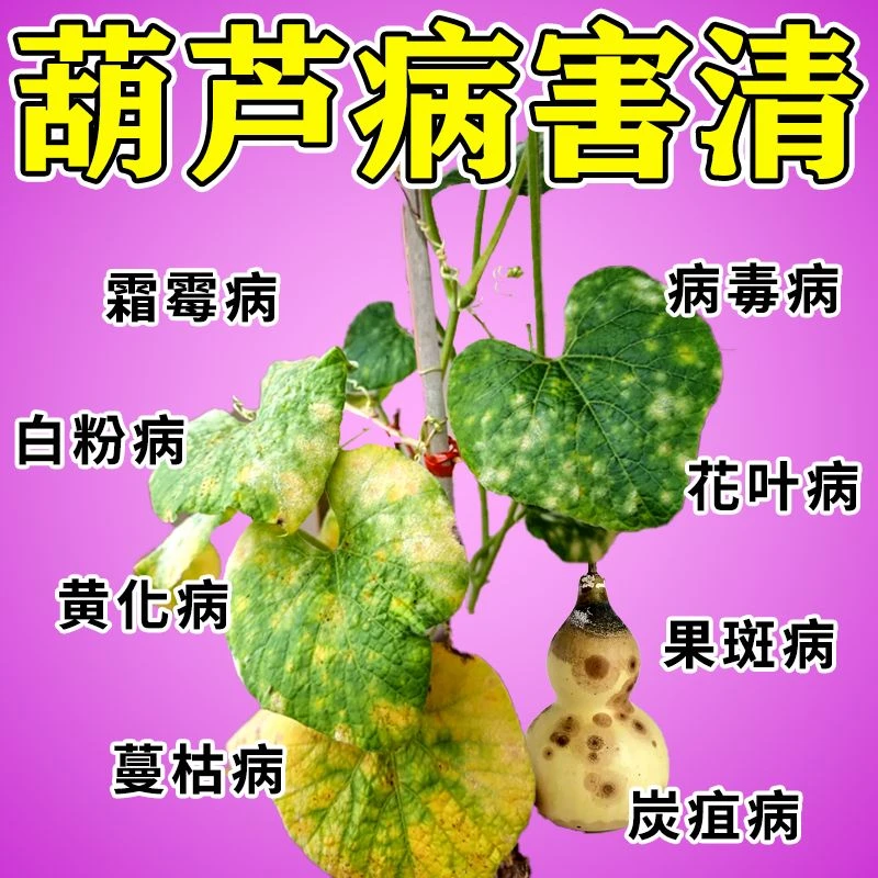 葫芦病毒病专用肥葫芦黄化病霜霉病灰霉病白粉病炭疽病蔓枯病肥料