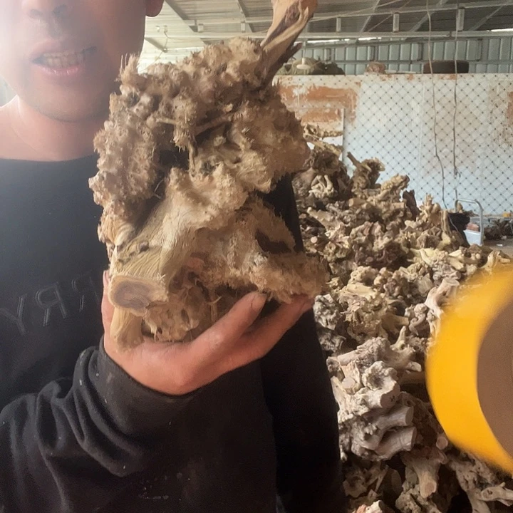 香榧木没麻梨疙瘩点点滴滴