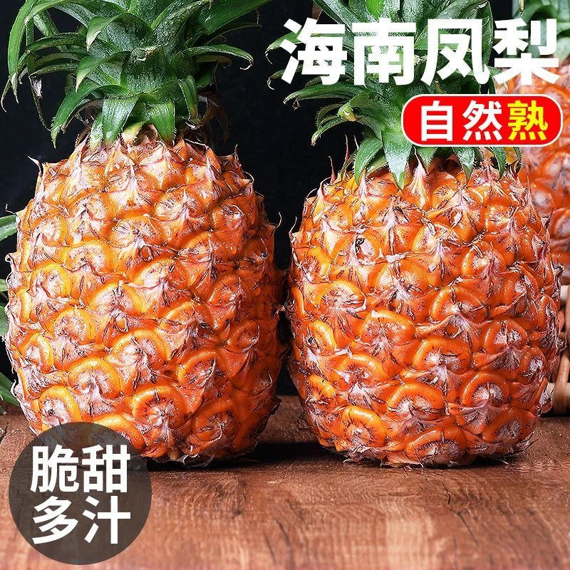 正宗海南金钻凤梨自然成熟应季水果现摘现发老少皆宜5/8斤