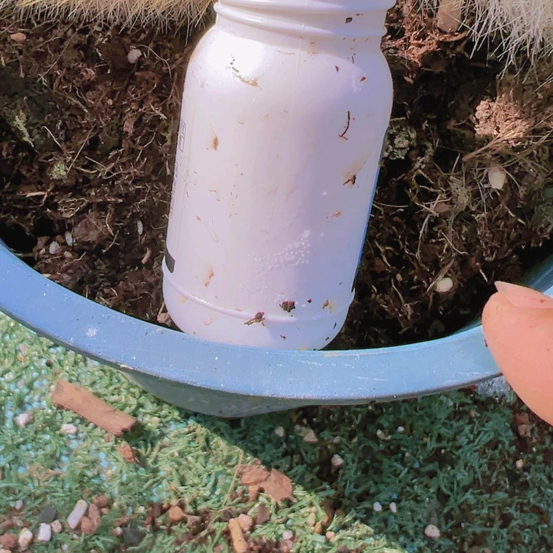 【闪购商品】自用杀菌偏远不拍