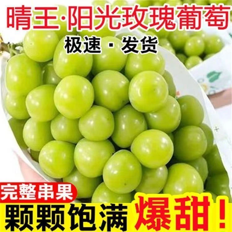 【基地头茬直采】阳光玫瑰无籽葡萄晴王香印青提孕妇新鲜水果3斤