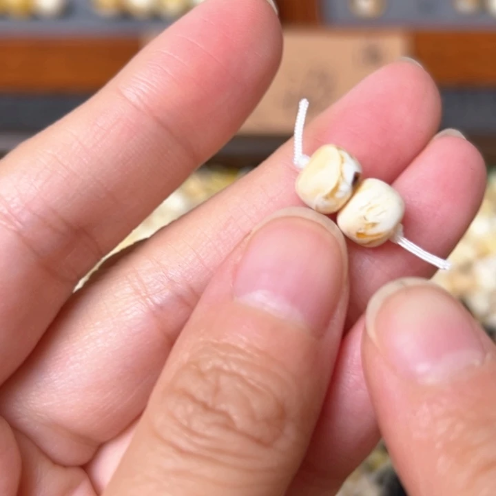蜜蜡未镶嵌裸石7.9mm一对
