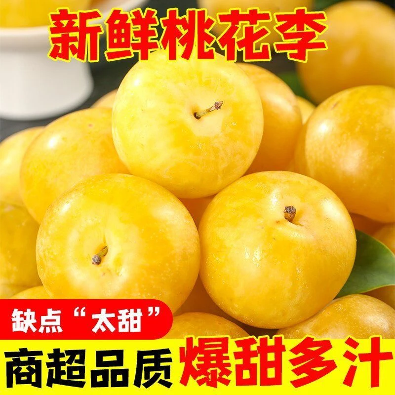 【爷爷家的桃花李】现摘黄金冰糖李桃花李应季水果姐妹款冰糖李