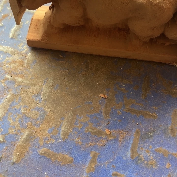 花梨木类888888888888