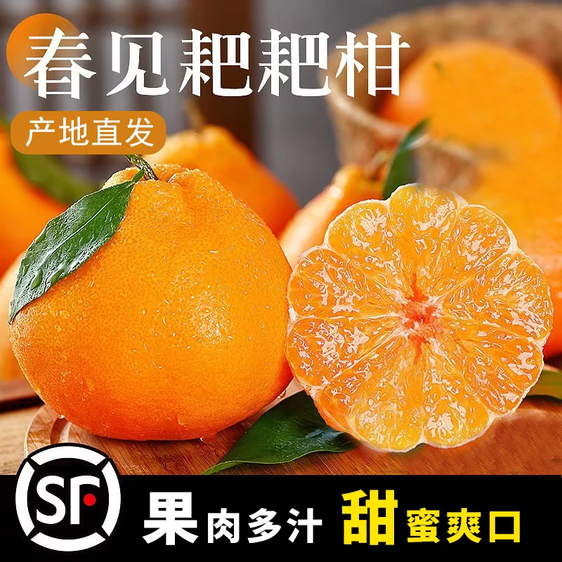 顺丰包邮LX精选粑粑桔子蒲江新鲜采摘春见应季水果鲜甜多汁橘子