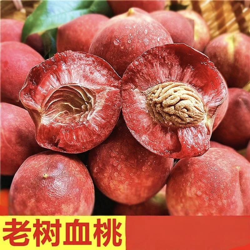 2025当季正宗血桃现摘水果新鲜当季整箱孕妇红心血桃