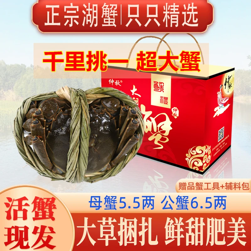 【活蟹现发】公蟹6.5两母蟹5.5两买4只送2只大闸蟹鲜活螃蟹溱湖簖蟹