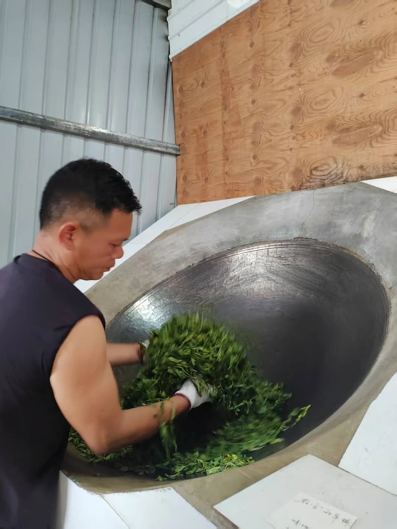 醒龙佳禾开阳制茶  2024年紫芽古树普洱茶   生茶200克紧压饼茶