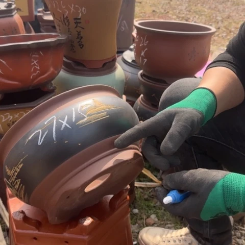 紫砂花盆紫砂花盆盆景盆栽