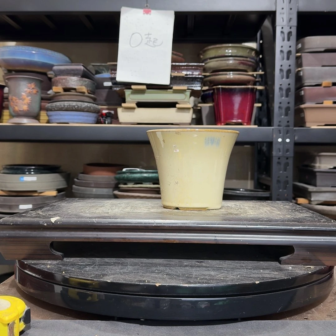 红陶易*h g h h g g g g