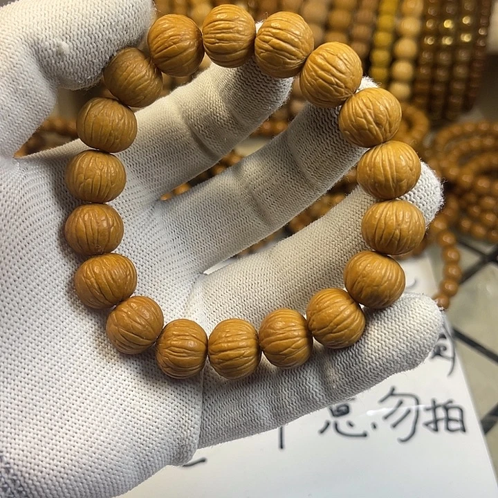 手串猴头核桃金刚