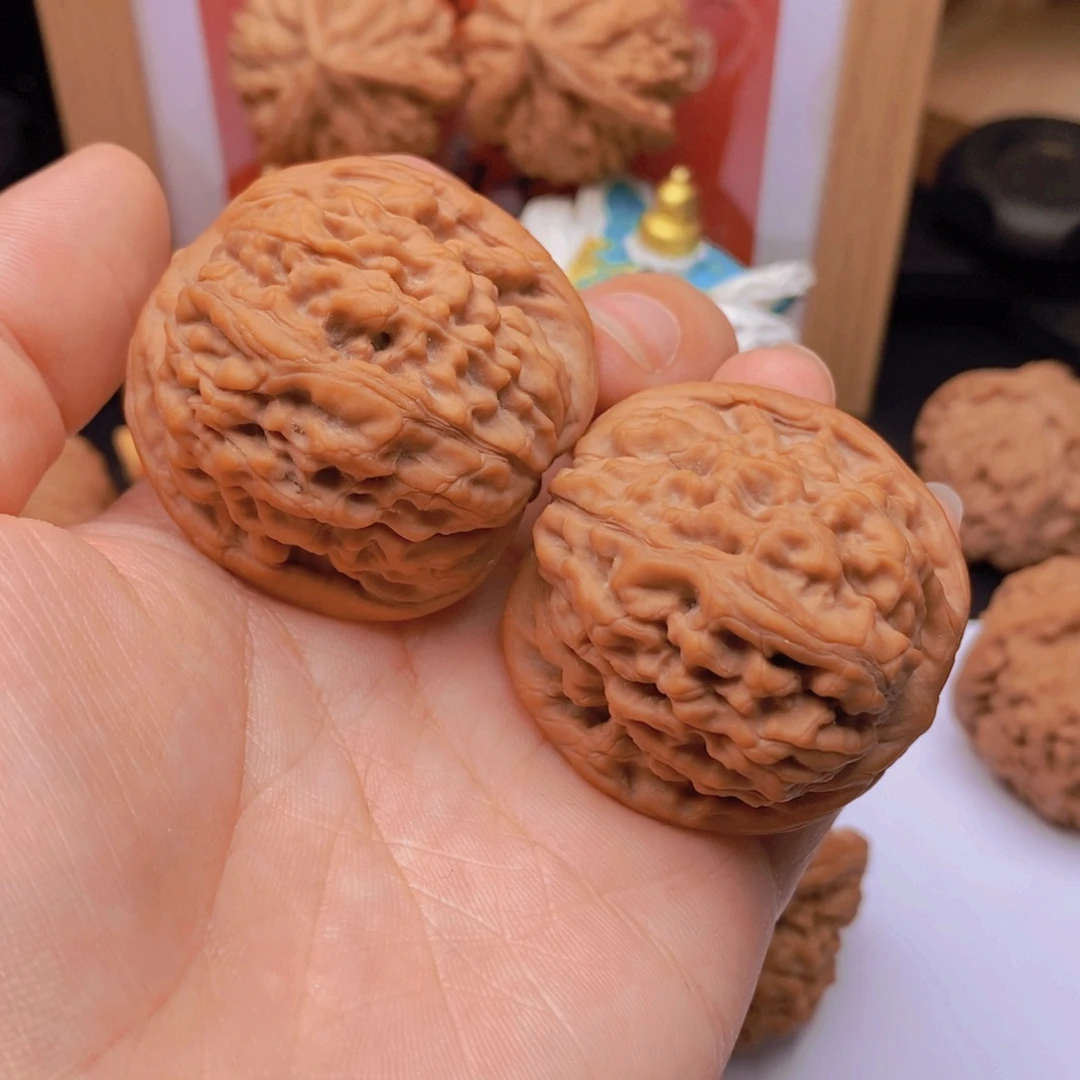 华***缆41尺精品莲花老树