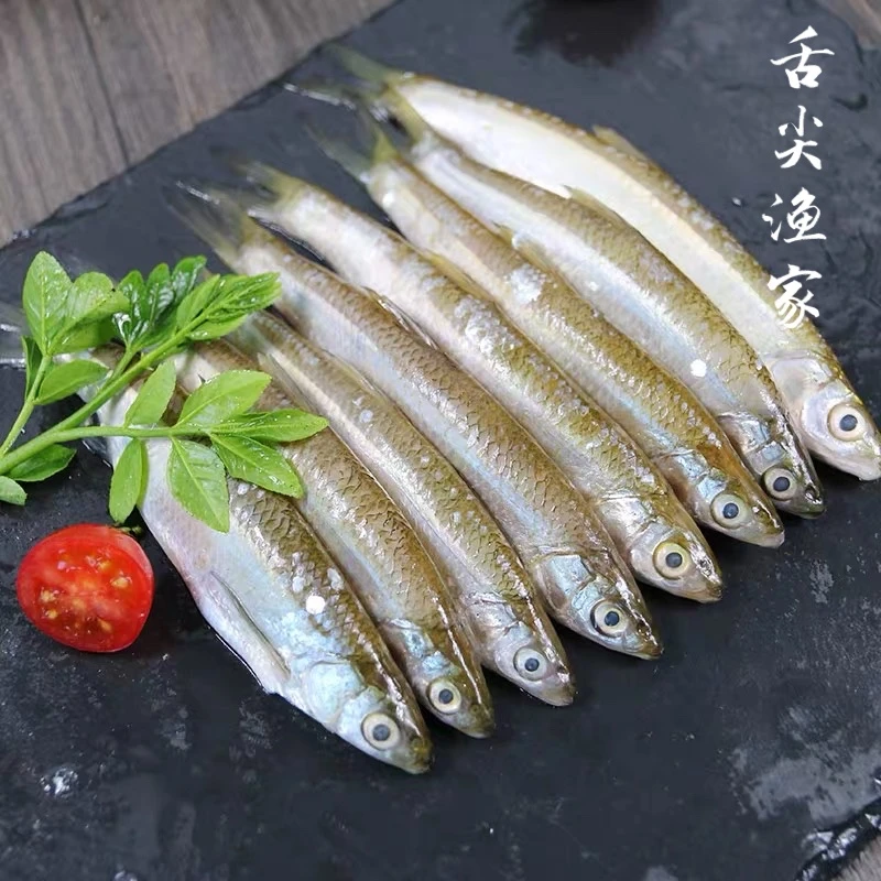 【臻品舌尖渔家】内蒙华子鱼2.5KG（礼盒款）冷水鱼产地直发营养美味