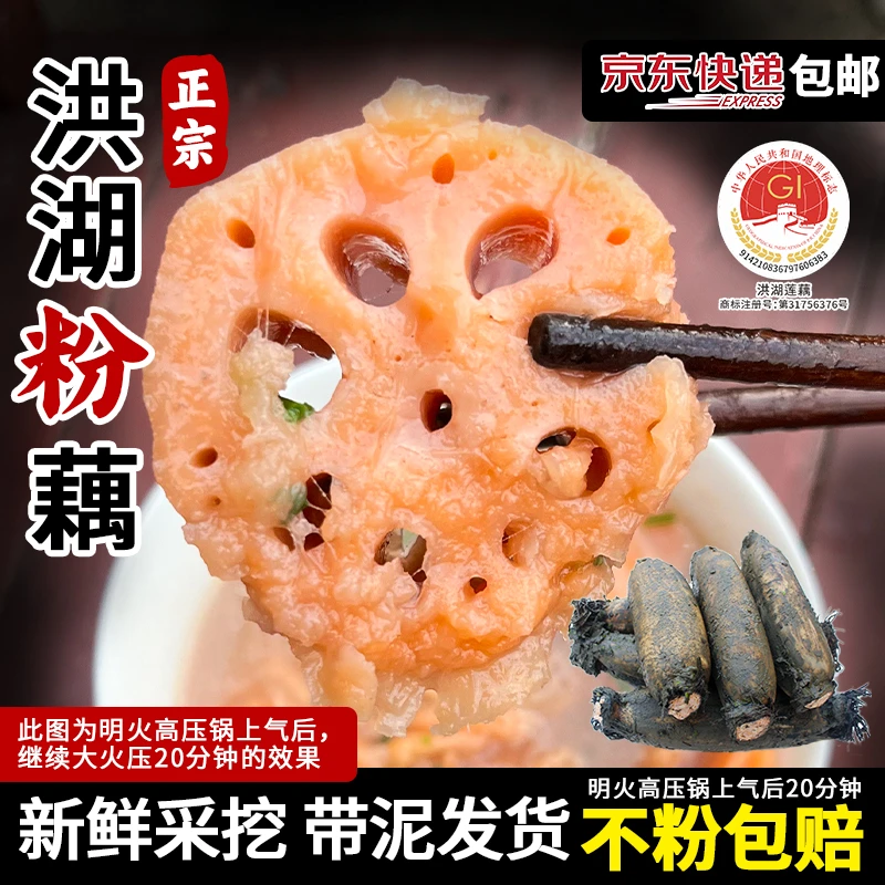 【华贵】湖北洪湖莲藕正宗洪湖新鲜煲汤粉藕3斤/5斤