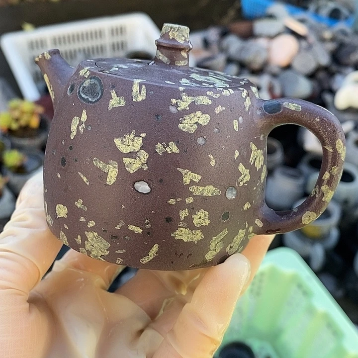 金***全梅花玉精美福利多多