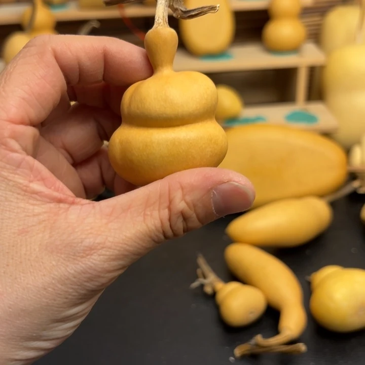 夏*葫芦葫芦葫芦葫芦葫芦葫芦