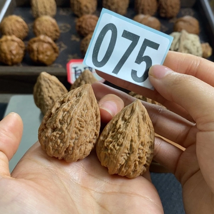 核桃075塔尖29尺寸全