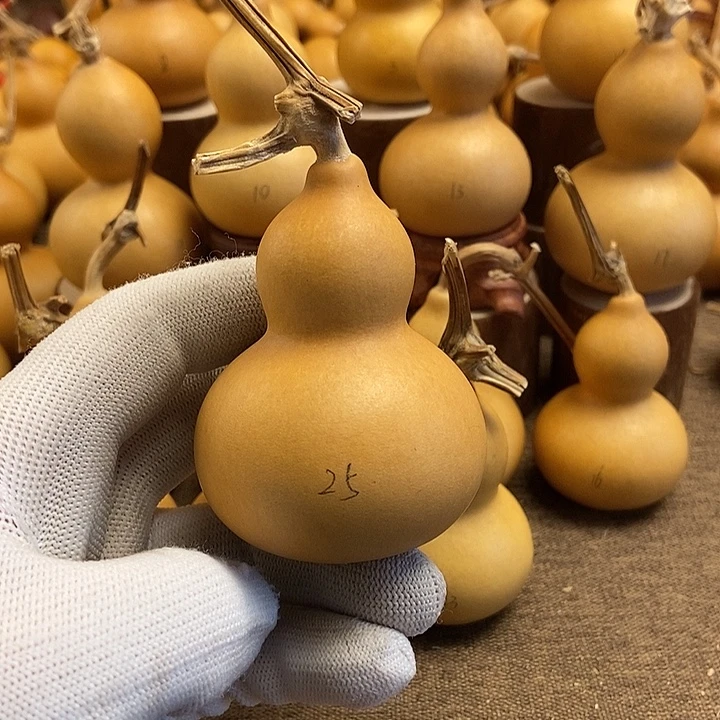 文玩葫芦 完美主义者 慎拍25