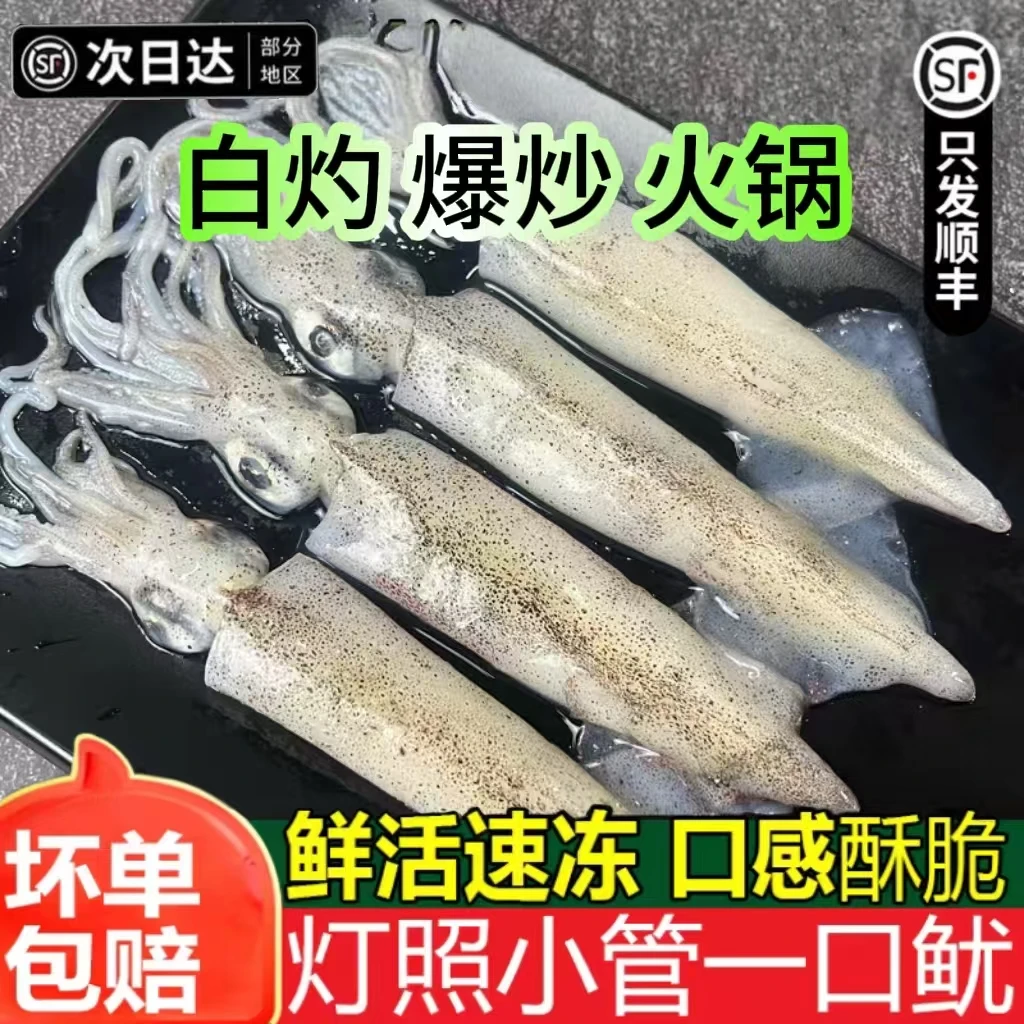 小管鱿鱼白灼鱿鱼新鲜冷冻大鱿鱼大笔管鱼小乌贼海鲜水产鲜活生鲜