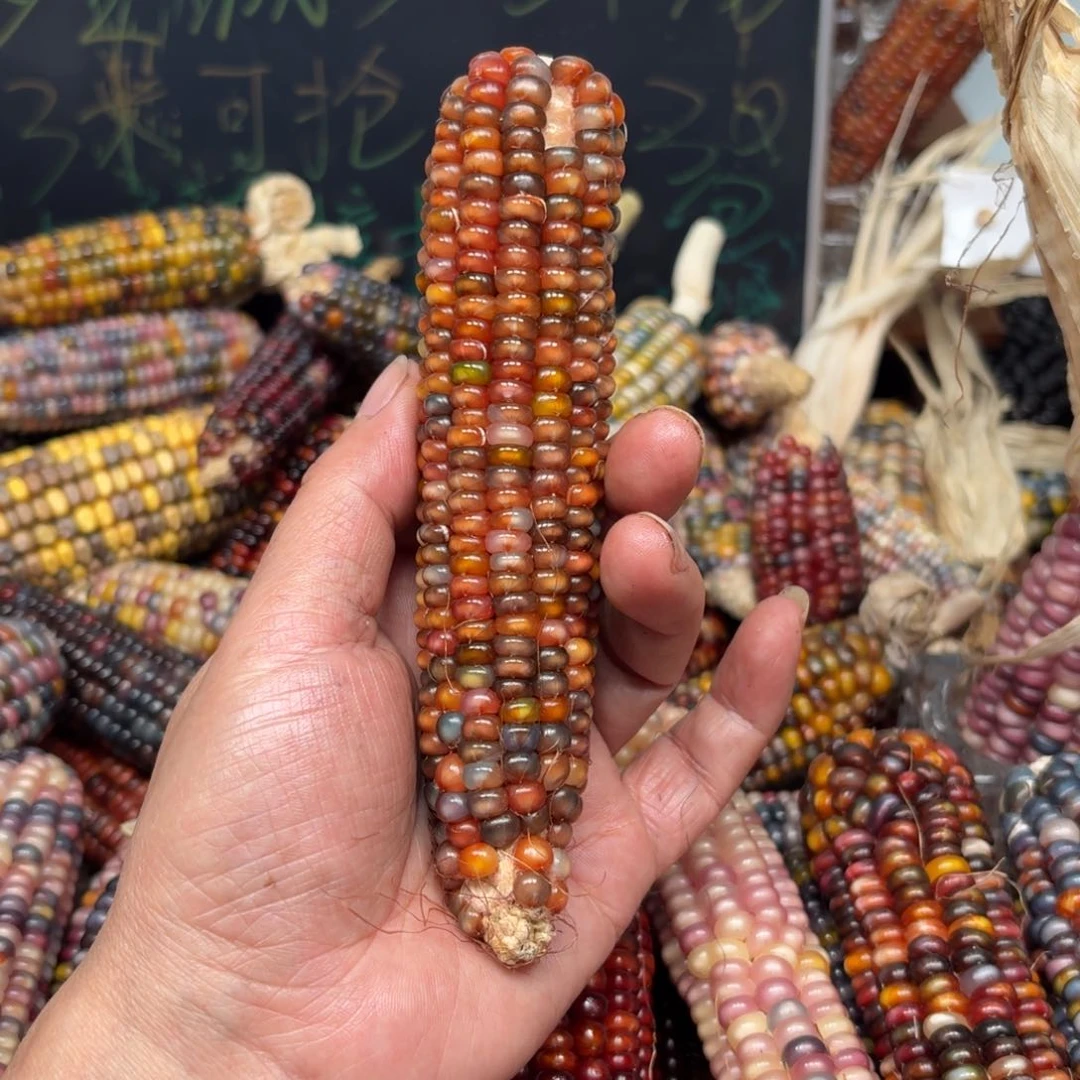 柏香籽/百香籽吊坠一****.